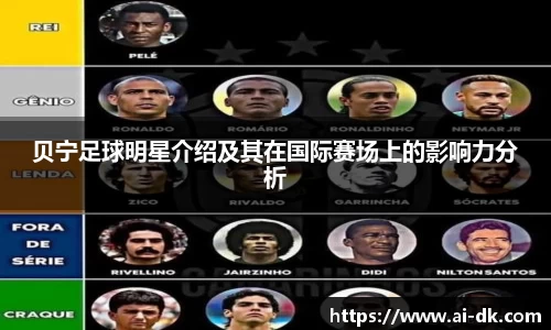 贝宁足球明星介绍及其在国际赛场上的影响力分析