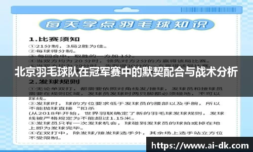 北京羽毛球队在冠军赛中的默契配合与战术分析